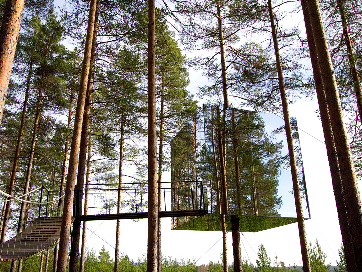 TreeHotel